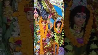 Mansa Puja2024 [upl. by Salkcin]