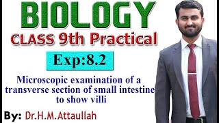 Microscopic examination of a transverse section of small intestine9th biology practical  Exp 82 [upl. by Lenard]