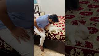 billu se liya badla tamacha ka part 1catcomedy catvideo cat cats viralcat [upl. by Aspia]