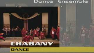 Ukrainian dance ensemble quotNadzbruchankaquot Ансамбль танцю quotНадзбручанкаquot [upl. by Anileba]