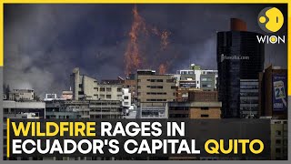 Wildfires Ravage DroughtStricken Ecuador Capital Armed Forces Deployed To Fight Fire  WION [upl. by Lahey554]