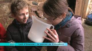 Les vertus du lait des ânesses de Julie Bourgogne Cluny [upl. by Demeyer]