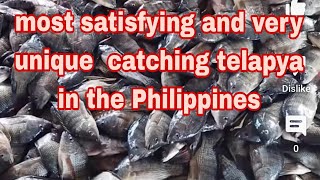 This is the most unique and amazing to catch the telapya in the province of the Philippines fishing [upl. by Herzberg]