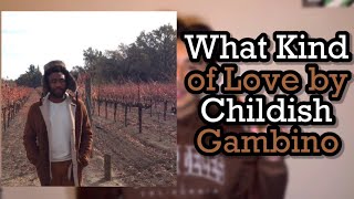 What Kind of Love  Childish Gambino Review  DAY 105 [upl. by Nwahs502]