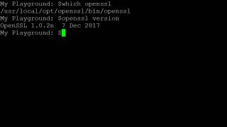 openssl version check [upl. by Higinbotham]