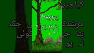 Aa kahin dor chalin Jain ham trendingshorts love youtubeshorts tariqabbasi666 [upl. by Sondra644]