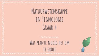 Wat plante nodig het om te groei  Graad 4 [upl. by Stern]