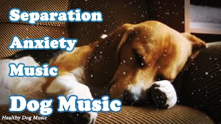 Soothing Music to Relax Your Dog 🐶 Calm Your Dog and Combat Anxiety [upl. by Caia]