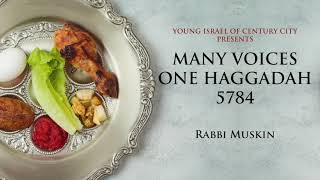 Many Voices  One Haggadah 5784  quotKarpas Act 1 Scene 1quot by Rabbi Elazar Muskin [upl. by Sidney]