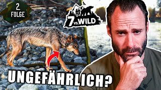 Schöne Begegnung oder gefährlich EXTeilnehmer reagiert auf 7 vs Wild Teams Folge 2  Otto [upl. by Ruenhs]