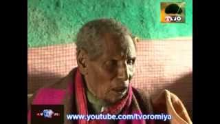 Manguddoo umrii dheeraa  At an estimated 160 years of age Dhaqabo Ebba lagatafo studio Video by TV [upl. by Eilrahs]