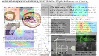 Optical Rheology for the Multi scale Biomechanical Assessment of Tissue  Seemantini Nadkarni [upl. by Amandie176]