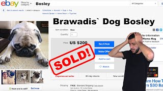 PUTTING OUR DOG UP FOR SALE Crazy Reaction [upl. by Lynnelle335]