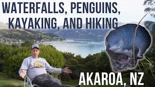 Exploring Akaroa New Zealand Waterfalls Wildlife and Waterfront Delights [upl. by Abixah]