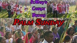 Palm 🌴 Sunday Julus ST Marys Church BokaroPart 1 [upl. by Anayrb]