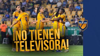 ¡Tigres Femenil NO TIENE televisora  Liga MX Femenil noticias hoy [upl. by Pine]