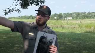 Picketts Charge and Archers Brigade  Ranger Philip Brown [upl. by Lig]