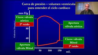 Fisiología cardíaca Ciclo cardíaco en 5 minutos rápido fácil y simple [upl. by Tonie242]