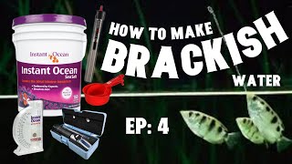 Brackish Water The EASY Way  BB Aquatics EP 4 [upl. by Booker]