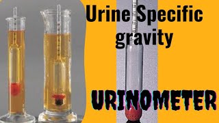 UrinometerSpecific gravity of Urine [upl. by Retsof]