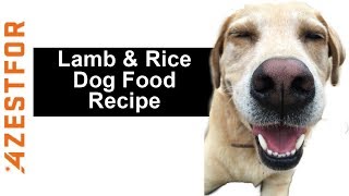 Complete and Balanced Homemade Dog Food for Common Protein Allergies  Lamb amp Rice [upl. by Young]