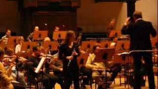 Karin Leitner plays Reinecke Flute Concerto 2nd mvt [upl. by Nimajneb]