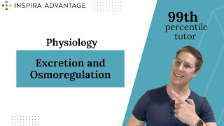 Physiology Excretion and Osmoregulation  MCAT Crash Course [upl. by Loughlin]