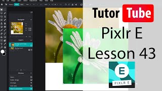 Pixlr E Tutorial  Lesson 43  Free Distort [upl. by Agata]