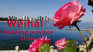 Weihai a city with combination of Chinese and Western culture [upl. by Wanids]