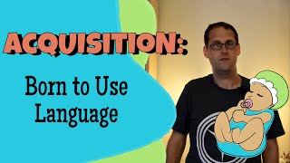 Language Acquisition and Universal Grammar [upl. by Shifrah]