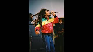 Bob Marley amp The Wailers  Live At The Civic Auditorium Santa Cruz CA USA 2121979 [upl. by Robyn213]