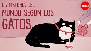 La historia del mundo según los gatos  EvaMaria Geigl [upl. by Katrina]