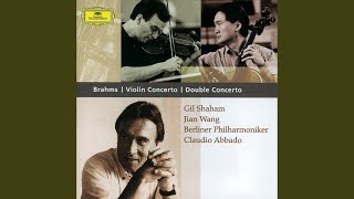 Brahms Double Concerto in A Minor Op 102  I Allegro [upl. by Eidnac431]