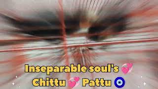 Stay where your heart smiles 💕and entwine in loves embrace 💞 Chittu 💞 Pattu 💜🐦bhavipictoart love [upl. by Ahseyt]