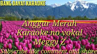 Anggur merah meggy z karaoke no vokal dangdut [upl. by Anirav395]