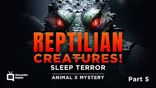 Sleep Terror Reptilians or Glitch Truth EXPOSING THE PARANORMAL  Storyteller Digital [upl. by Arinayed]