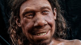 Gezicht voor Krijn Nederlands eerste Neanderthaler  Rijksmuseum van Oudheden [upl. by Aliam]