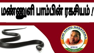 மண்ணுளி பாம்பின் ரகசியம்   ujiladevi tamil [upl. by Ilysa]