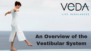 An Overview of the Vestibular System [upl. by Junie]