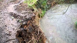 Active erosion and deposition on a meander of the River Caul Bourne Isle of Wight [upl. by Scevor37]