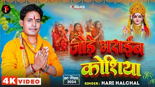 स्पेशल छठ गीत जोड़े भराईब कोशिया  Hari Halchal  Jode Bharaib Koshiya  Chhath Geet 2024 [upl. by Negah]