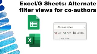 ExcelGSheets Alternate sheetfilter views for simultaneous editors NEW 2020 [upl. by Daph112]