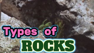 Grade 11  Igneous Metamorphics and Sedimentary RocksEarth amp Life Science education4708 rocks [upl. by Uticas]