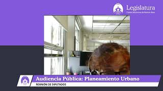 Audiencia Pública  Planeamiento Urbano  Inés Fernández [upl. by Tnecillim]