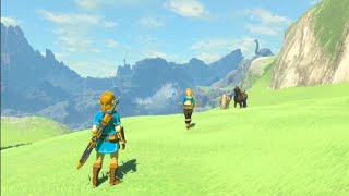 THE LEGEND OF ZELDA BREATH OF THE WILD  Good Ending [upl. by Seaden]