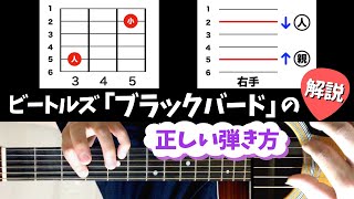 【ギター解説】ビートルズ ｢ブラックバード｣ の弾き方  quotBlackbirdquot The Beatles [upl. by Beaner]