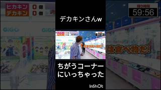 クレンゲームでどっちがヒカキンぬいぐるみを取れるのか企画だったのにデカキンはお菓子コーナーにいっちゃう [upl. by Schacker]