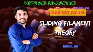 Sliding filament theory by Rahul sir  Muscular system  Physiology  Physical education  UGC NET [upl. by Karr]