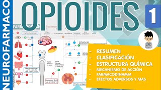 OPIOIDES ESCALERA TERAPEUTICA RESUMEN Clasificaciones Estructura Receptores Farmacología 1 [upl. by Nemrac830]