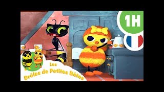 DRÔLES DE PETITES BÊTES  1 Heure  Compilation 03 [upl. by Hemminger]